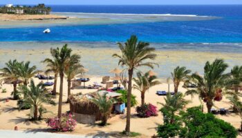 Odkryj cuda Marsa Alam – co warto tam zobaczyć?