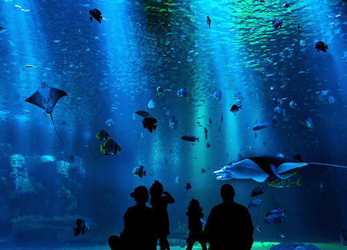 Hurghada Grand Aquarium