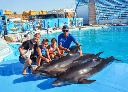 Delfinarium - Szklana łódź - Hurghada