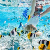 Snorkeling w Egipcie