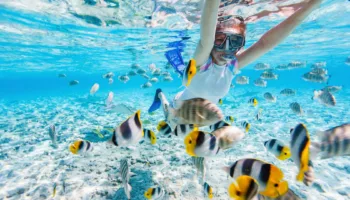 Snurkowanie (snorkeling) w Egipcie – jak się do niego przygotować?