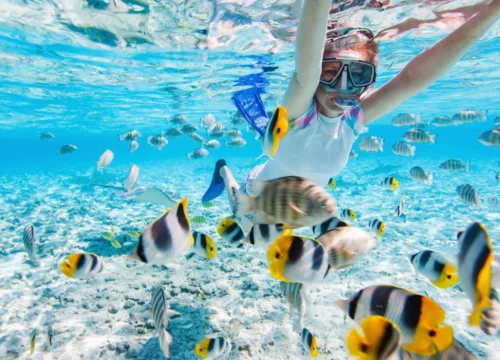 Snurkowanie (snorkeling) w Egipcie – jak się do niego przygotować?
