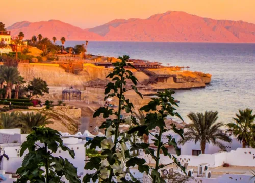 Egipt zimą – dlaczego warto odwiedzić go poza sezonem?